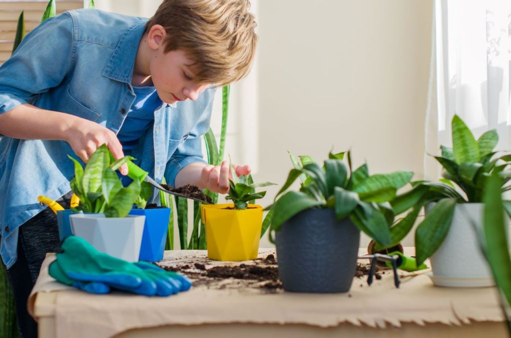 Teen boy tends to pot plants