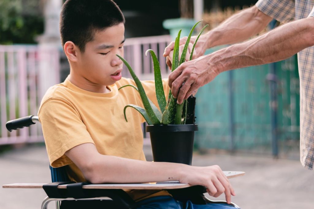 Boy with disability helps do gardening chores