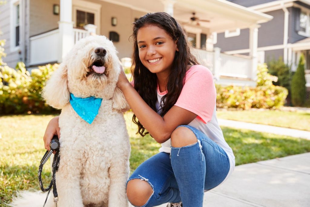 Smiling teen girl crouched down patting white poodle wearing blue scarf